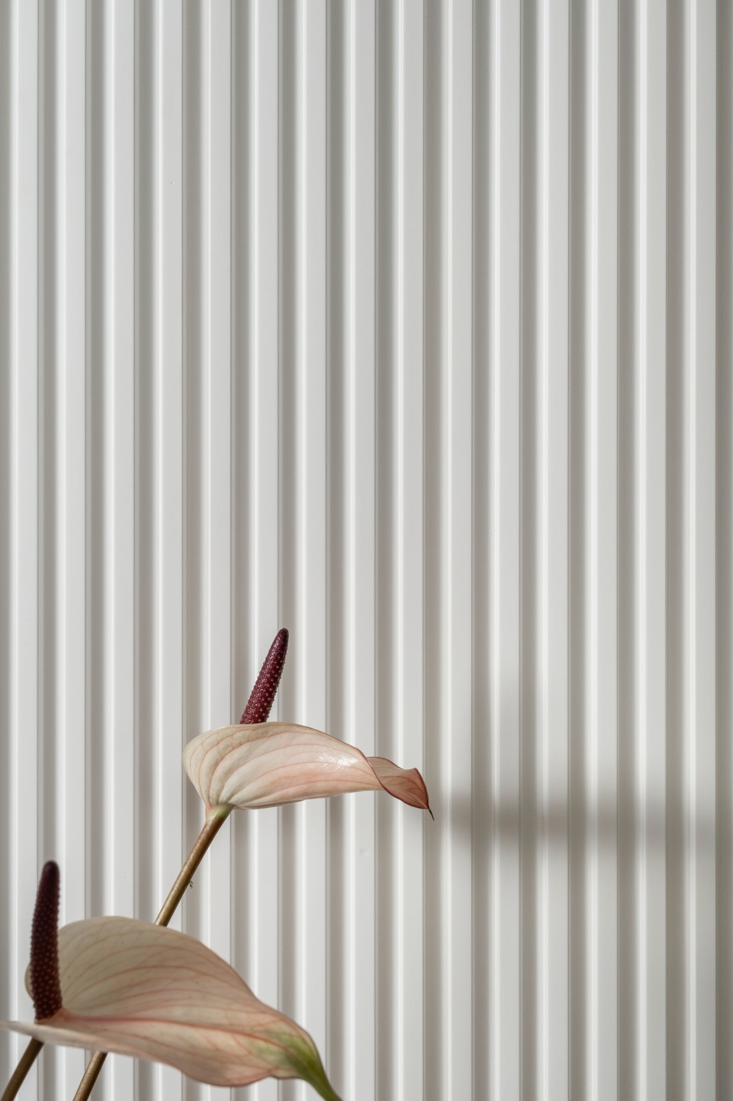 3D wall panels L0101T