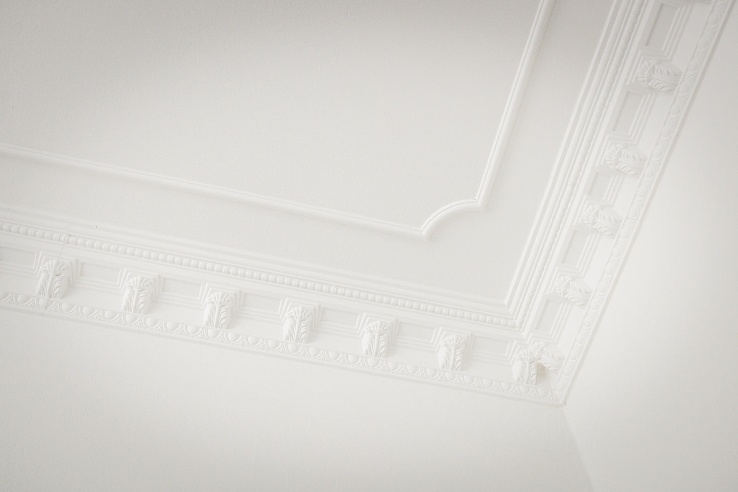 Wall moulding Z352
